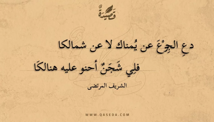 قصيدة دع الجزع عن يمناك لا عن شمالكا