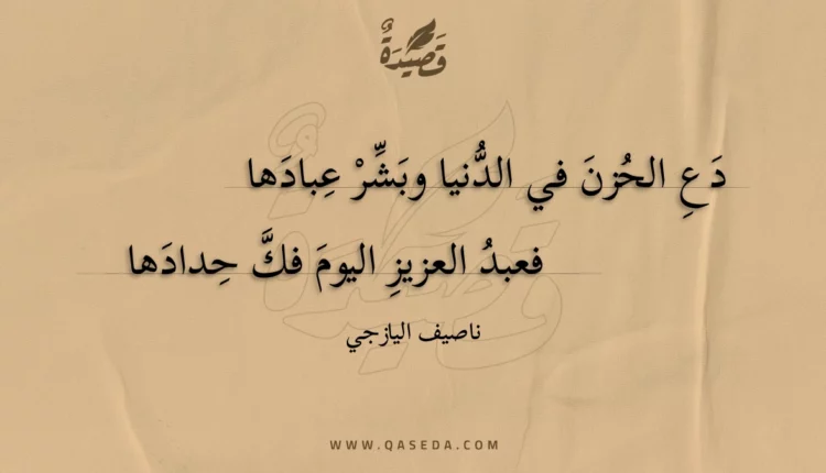 قصيدة دع الحزن في الدنيا وبشر عبادها