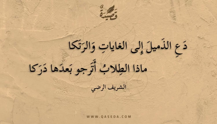 قصيدة دع الذميل إلى الغايات والرتكا