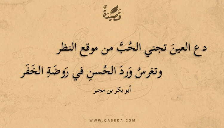 قصيدة دع العين تجني الحب من موقع النظر