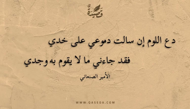 قصيدة دع اللوم إن سالت دموعي على خدي