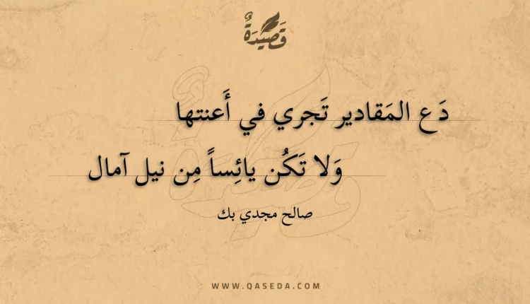 قصيدة دع المقادير تجري في أعنتها