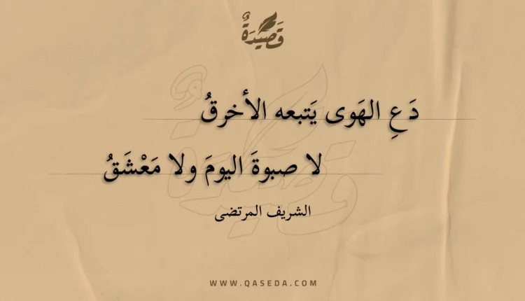قصيدة دع الهوى يتبعه الأخرق