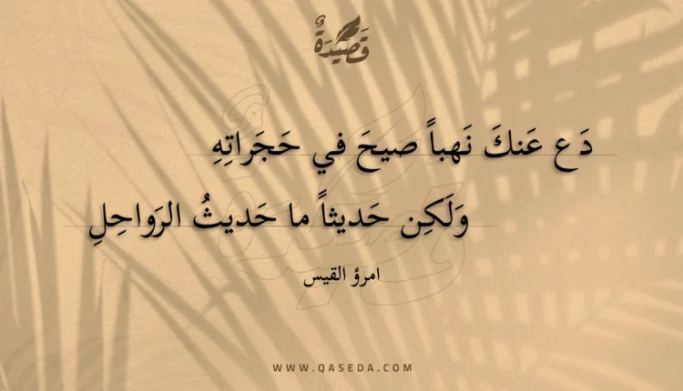 قصيدة دع عنك نهباً صيح في حجراته