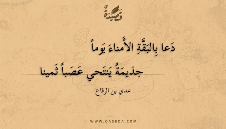 قصيدة دعا بالبقة الأمناء يوما