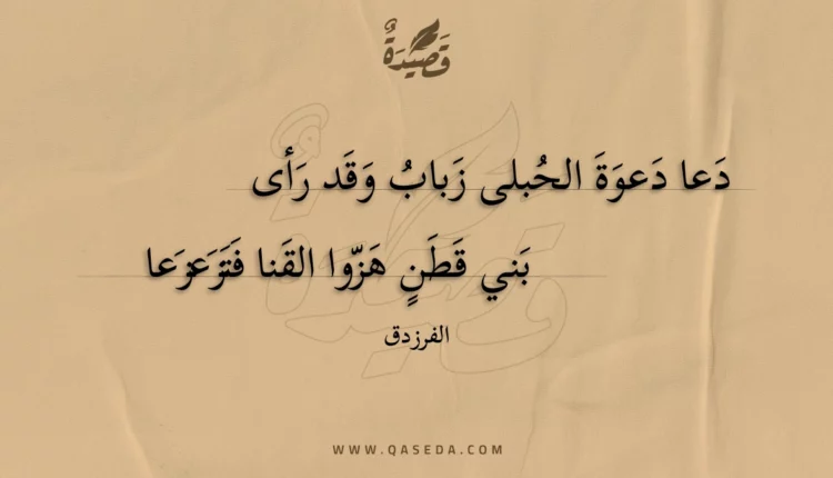 قصيدة دعا دعوة الحبلى زباب وقد رأى