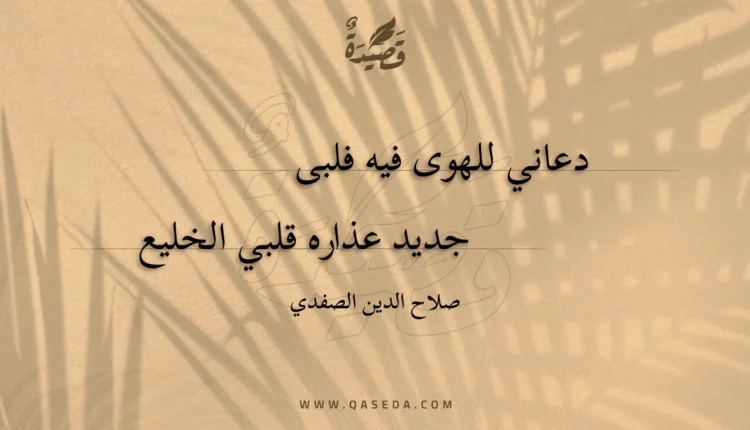 قصيدة دعاني للهوى فيه فلبى