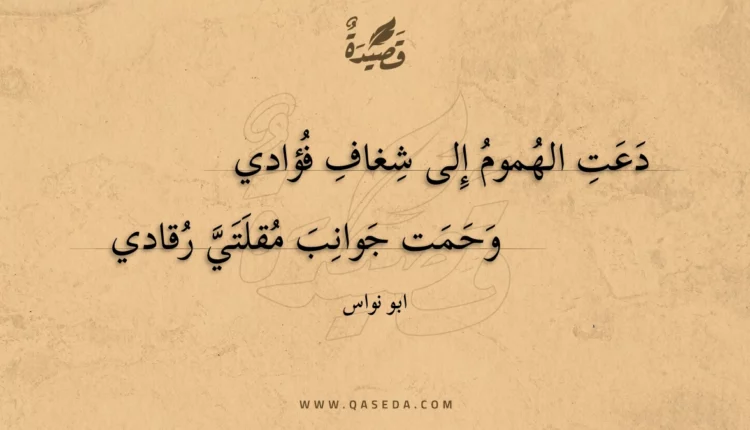 قصيدة دعت الهموم إلى شغاف فؤادي