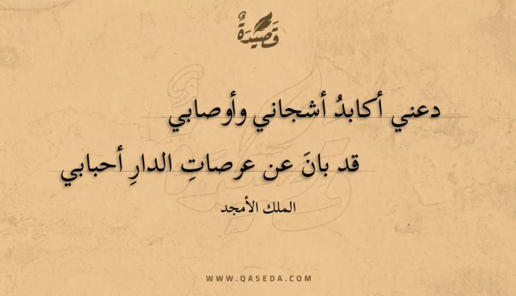 قصيدة دعني أكابد أشجاني وأوصابي