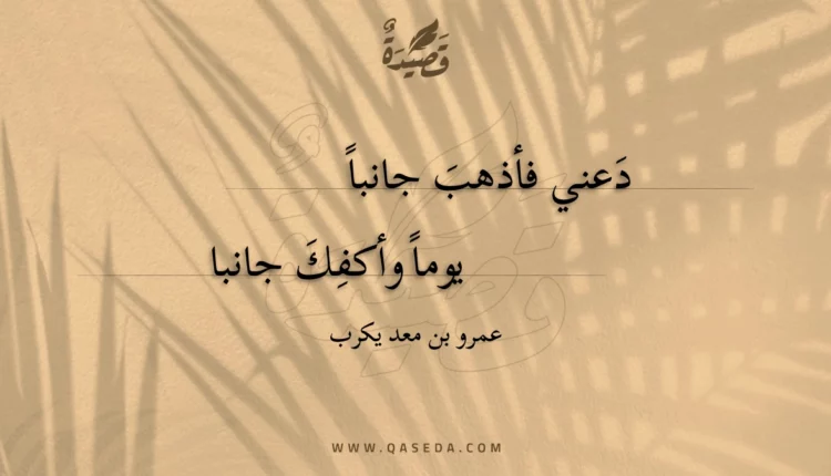 قصيدة دعني فأذهب جانبا