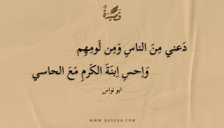 قصيدة دعني من الناس ومن لومهم