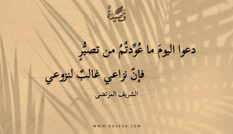 قصيدة دعوا اليوم ما عودتم من تصبر