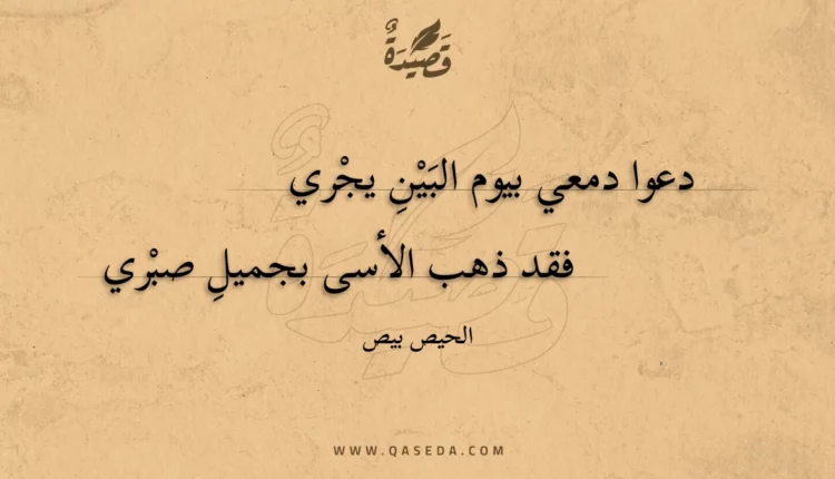 قصيدة دعوا دمعي بيوم البين يجري