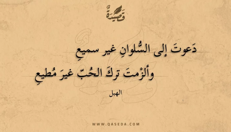 قصيدة دعوت إلى السلوان غير سميع