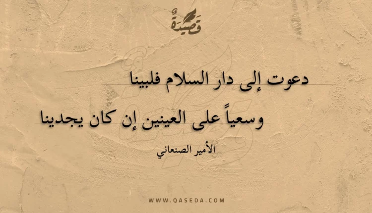 قصيدة دعوت إلى دار السلام فلبينا