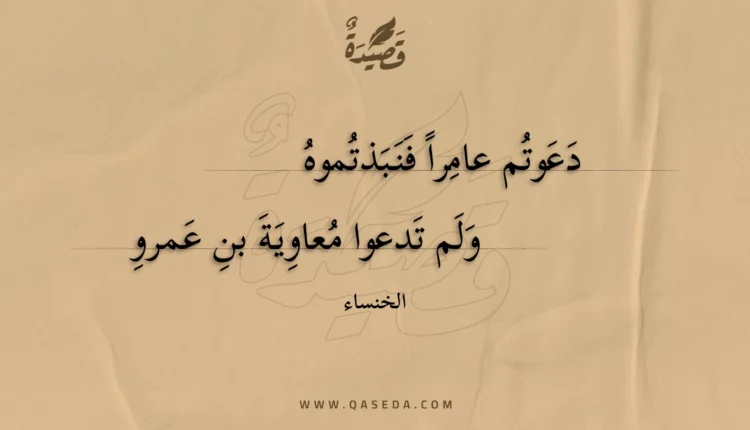 قصيدة دعوتم عامرا فنبذتموه