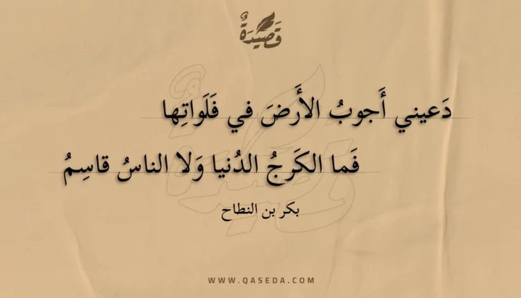 قصيدة دعيني أجوب الأرض في فلواتها