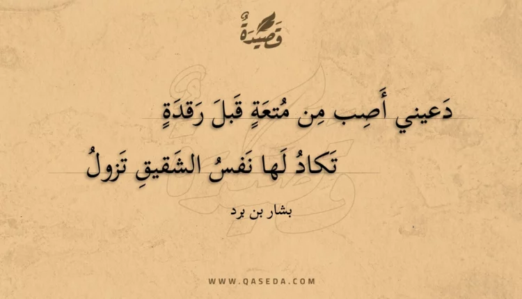 قصيدة دعيني أصب من متعة قبل رقدة