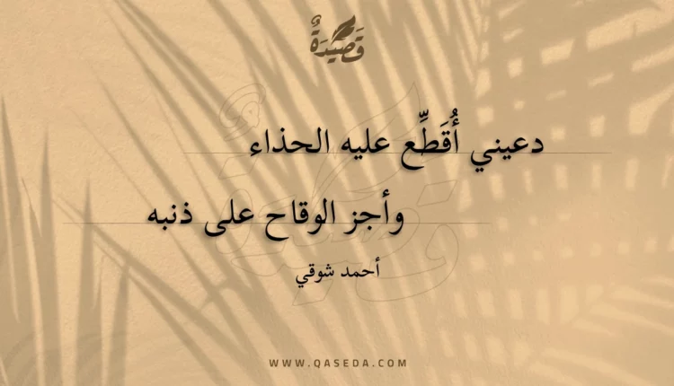 قصيدة دعيني أقطع عليه الحذاء