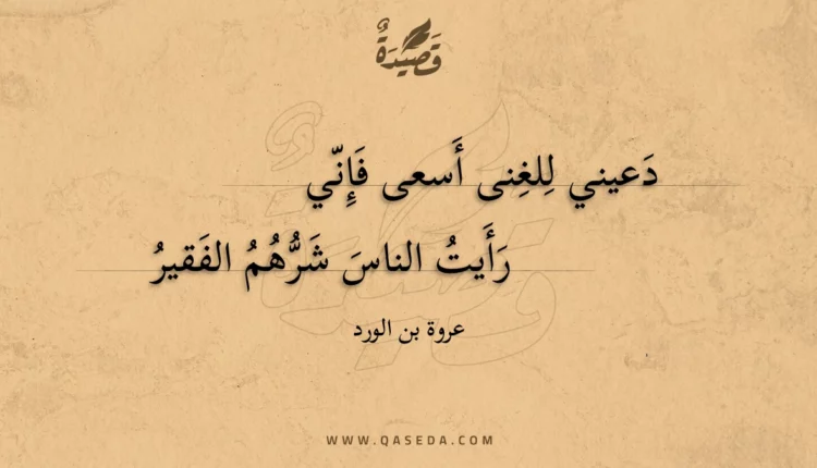 قصيدة دعيني للغنى أسعى فإني