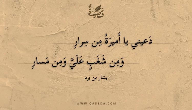 قصيدة دعيني يا أميرة من سرار