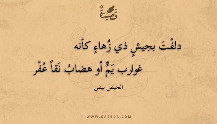 قصيدة دلفت بجيش ذي زهاء كأنه