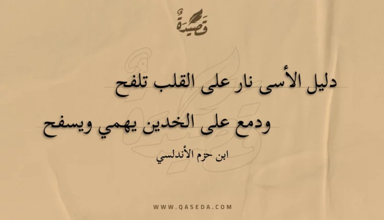 قصيدة دليل الأسى نار على القلب تلفح