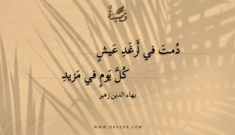 قصيدة دمت في أرغد عيش