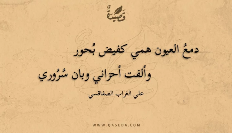 قصيدة دمع العيون همي كفيض بحور