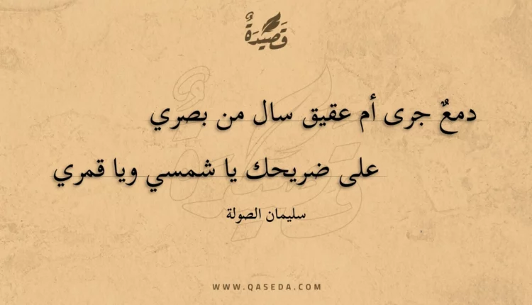 قصيدة دمع جرى أم عقيق سال من بصري
