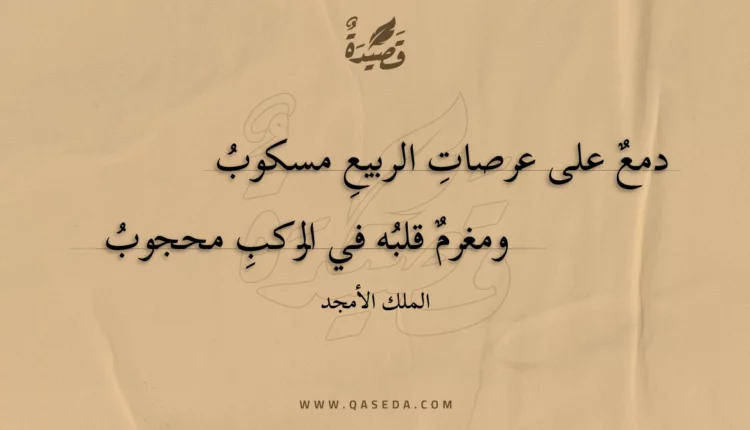 قصيدة دمع على عرصات الربيع مسكوب