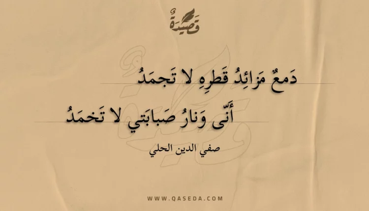 قصيدة دمع مزائد قطره لا تجمد