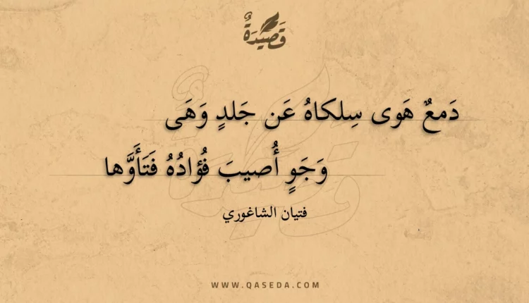 قصيدة دمع هوى سلكاه عن جلد وهى