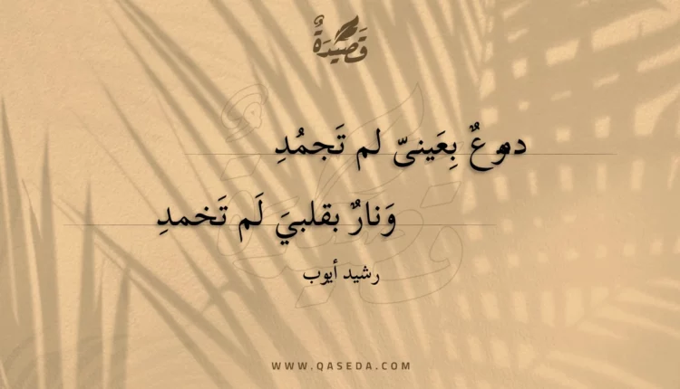 قصيدة دموع بعينى لم تجمد