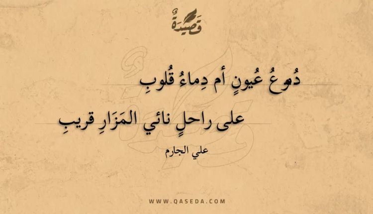 قصيدة دموع عيون أم دماء قلوب
