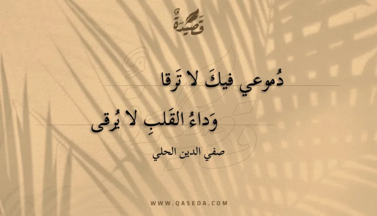 قصيدة دموعي فيك لا ترقا