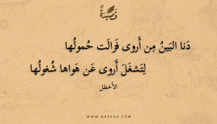 قصيدة دنا البين من أروى فزالت حمولها