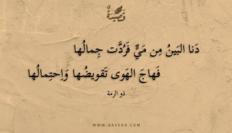 قصيدة دنا البين من مي فردت جمالها
