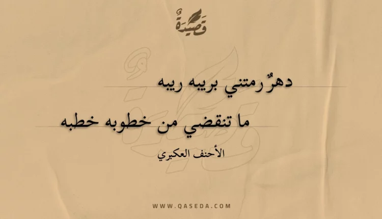 قصيدة دهر رمتني بريبه ريبه