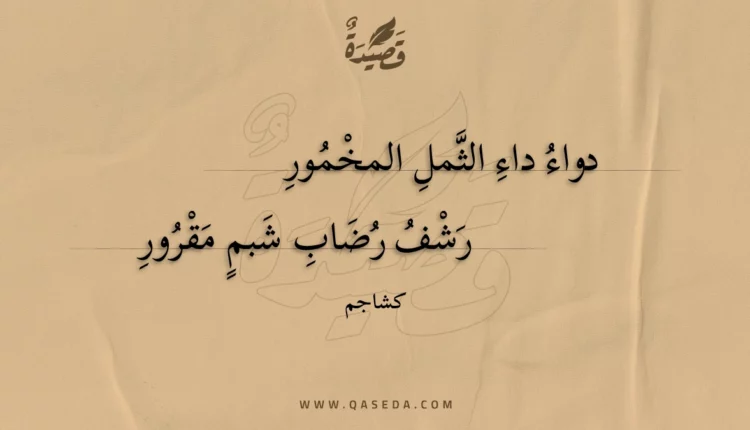 قصيدة دواء داء الثمل المخمور