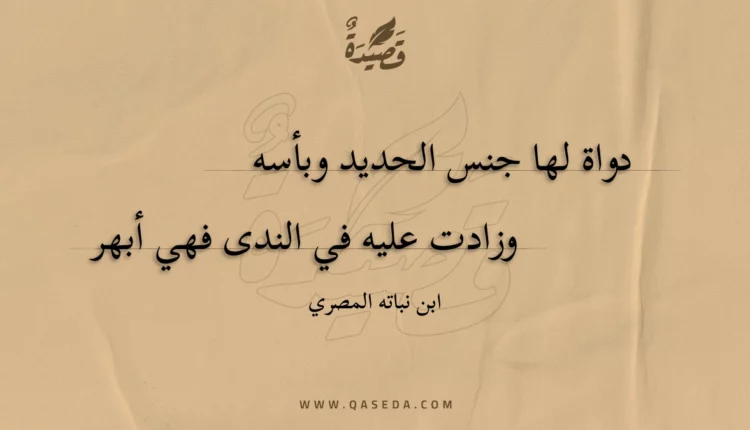 قصيدة دواة لها جنس الحديد وبأسه