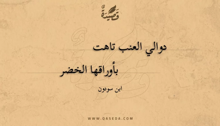 قصيدة دوالي العنب تاهت