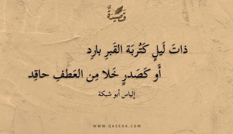 قصيدة ذات ليل كتربة القبر بارد