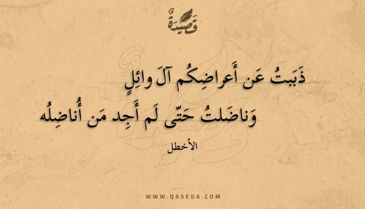 قصيدة ذببت عن أعراضكم آل وائل