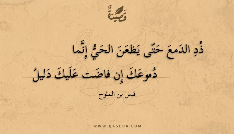 قصيدة ذد الدمع حتى يظعن الحي إنما