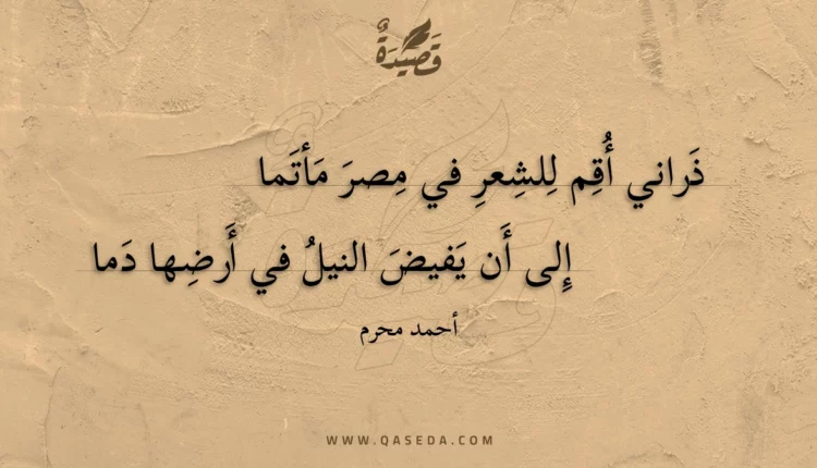 قصيدة ذراني أقم للشعر في مصر مأتما