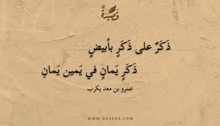 قصيدة ذكر على ذكر بأبيض