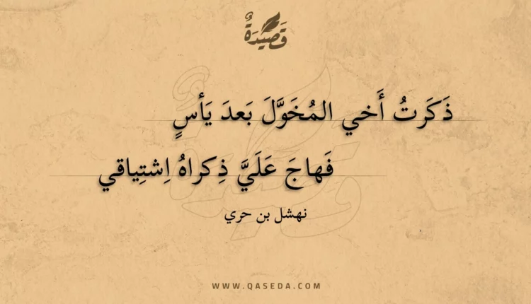قصيدة ذكرت أخي المخول بعد يأس