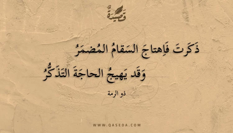 قصيدة ذكرت فاهتاج السقام المضمر