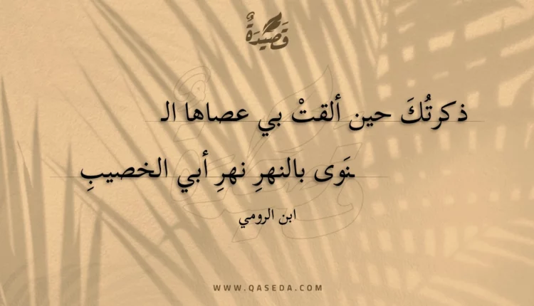 قصيدة ذكرتك حين ألقت بي عصاها